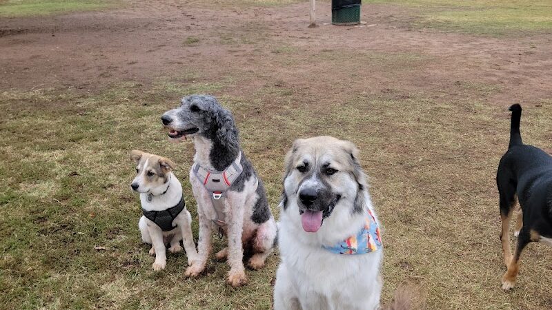 Edmond Dog Park - Edmond, OK