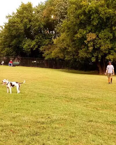 Edmond Dog Park - Edmond, OK