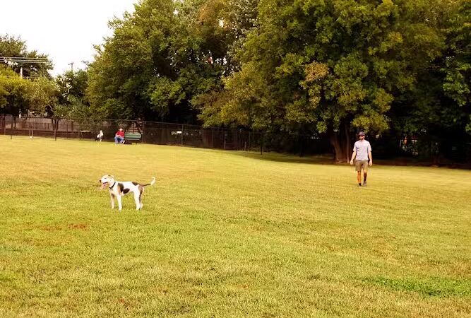 Edmond Dog Park - Edmond, OK