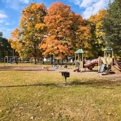 Curtis Park - Edmore,