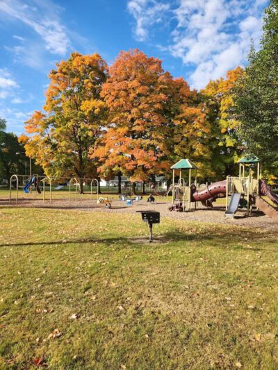 Curtis Park - Edmore,