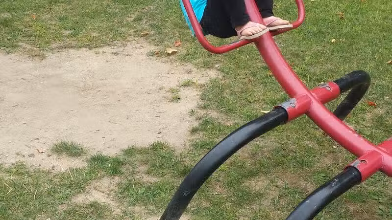 Curtis Park - Edmore,