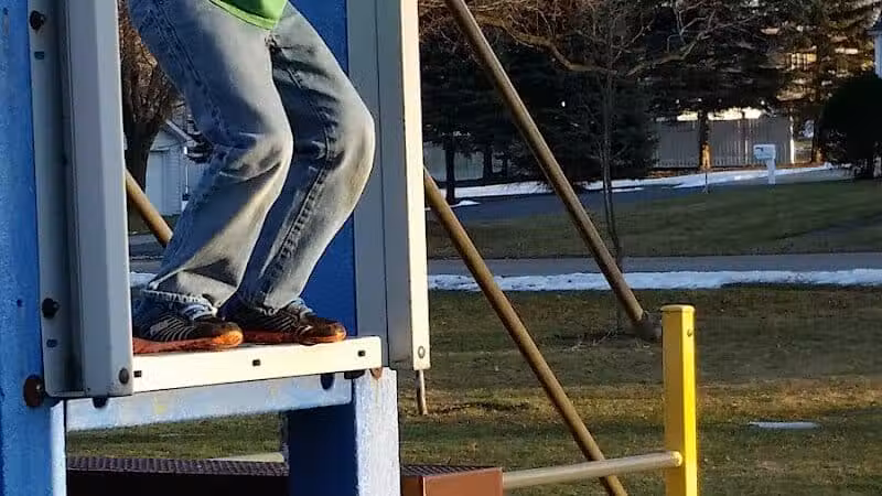 Curtis Park - Edmore,