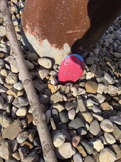 Gunn Park - Edwardsburg,