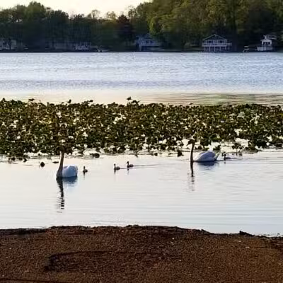 Gunn Park - Edwardsburg,