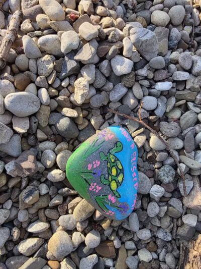 Gunn Park - Edwardsburg,