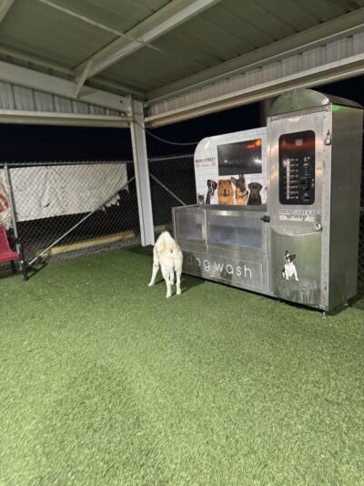 Dog park - Ehrenberg, AZ