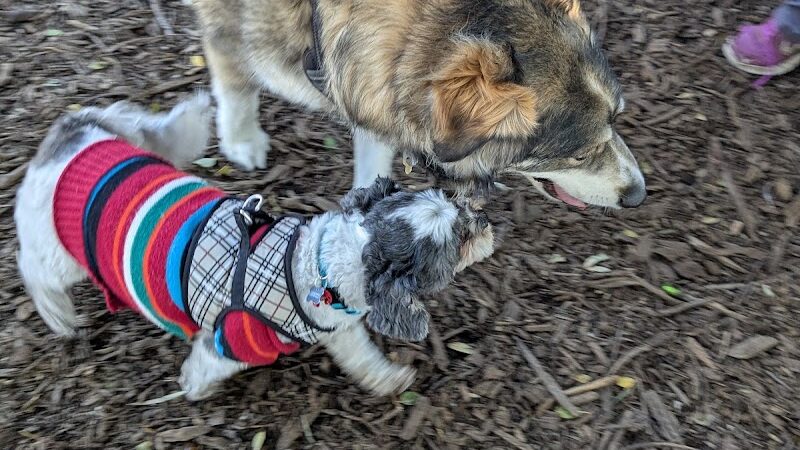 Bruce King Memorial Dog Park - El Cerrito, CA