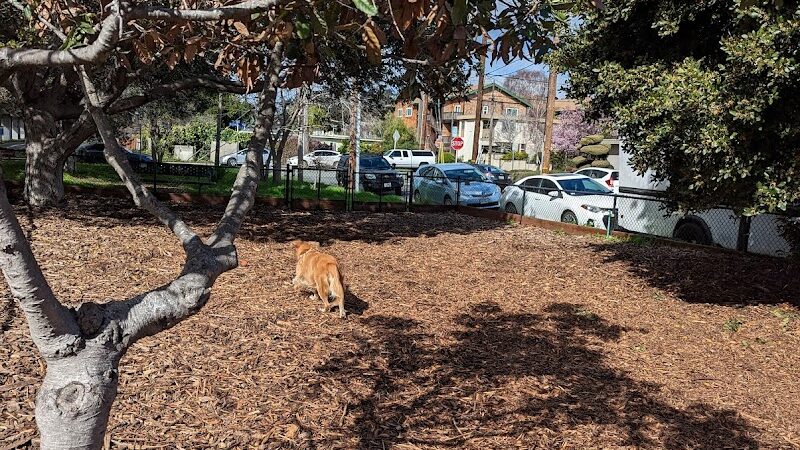 Bruce King Memorial Dog Park - El Cerrito, CA