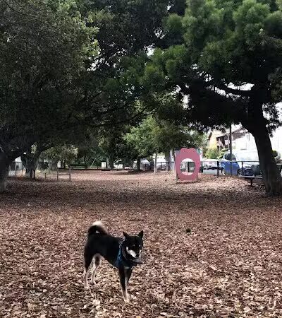Bruce King Memorial Dog Park - El Cerrito, CA