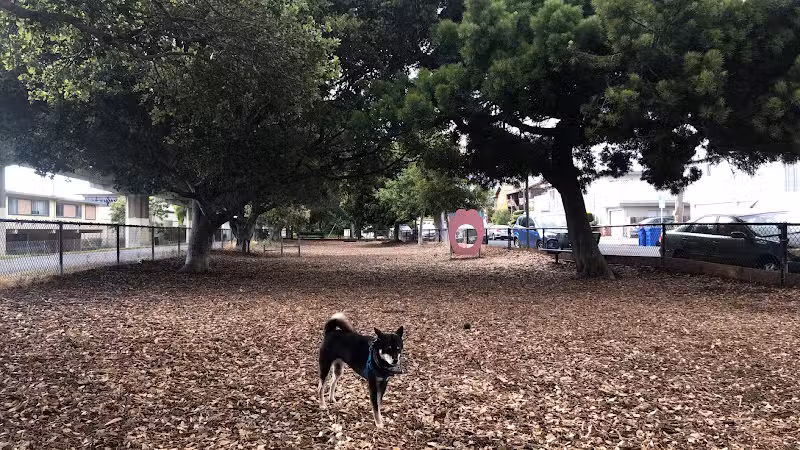 Bruce King Memorial Dog Park - El Cerrito, CA