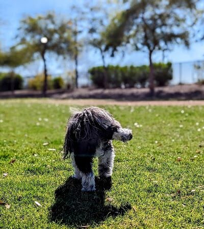 Gateway Dog Park - El Mirage, AZ