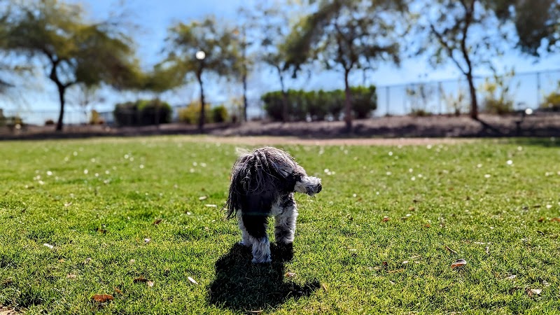 Gateway Dog Park - El Mirage, AZ