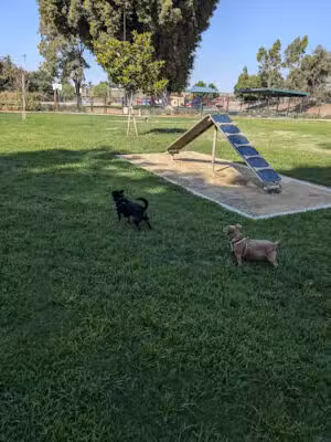 Fletcher Fetch Park - El Monte, CA