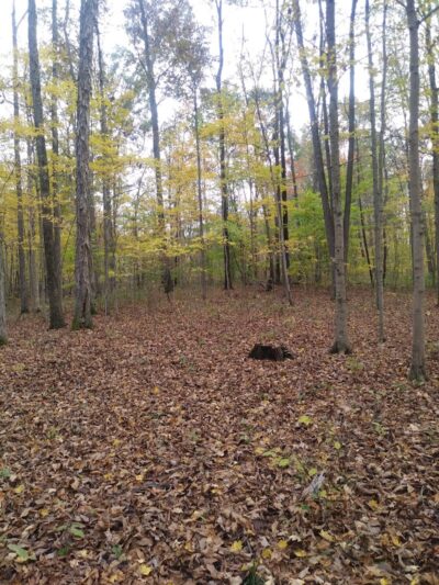 Eco Lake Park - Elizabethtown, IN