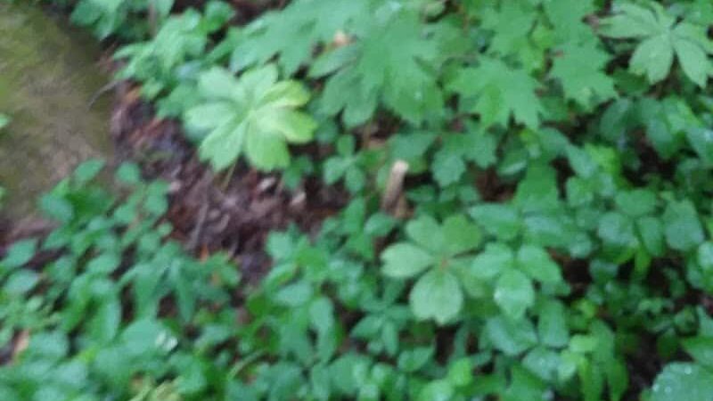 Eco Lake Park - Elizabethtown, IN