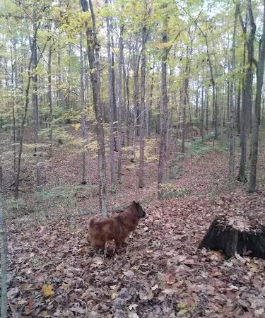 Eco Lake Park - Elizabethtown, IN