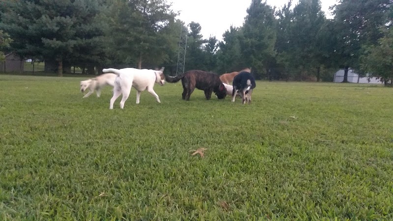 Etown Dog Park - Elizabethtown, KY