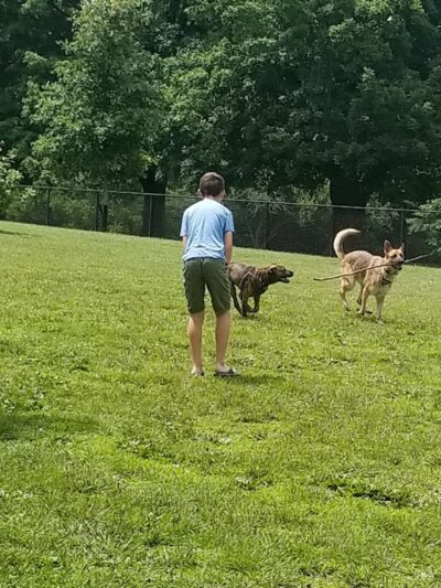 Etown Dog Park - Elizabethtown, KY