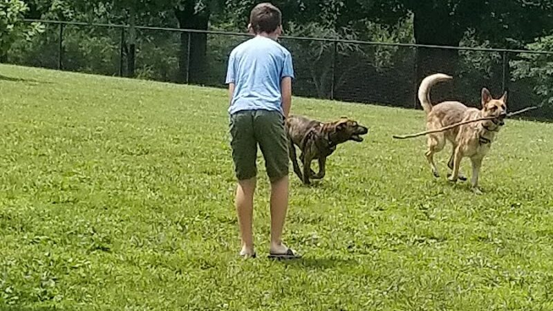 Etown Dog Park - Elizabethtown, KY