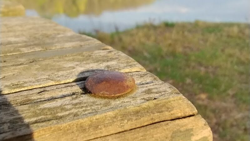 Etown Dog Park - Elizabethtown, KY