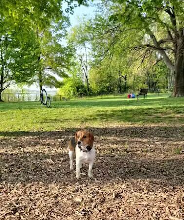 Etown Dog Park - Elizabethtown, KY