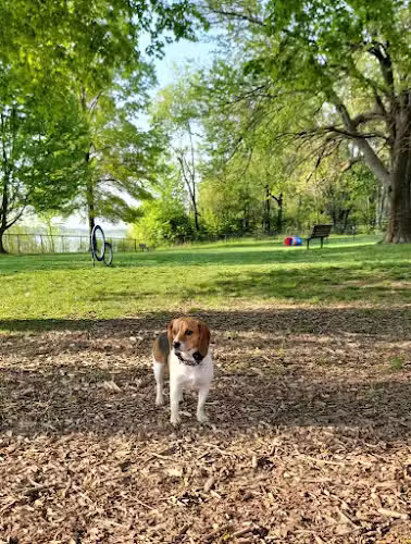 Etown Dog Park - Elizabethtown, KY