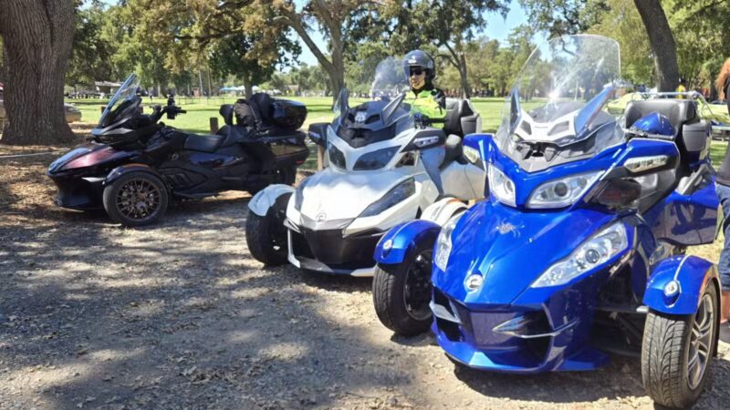 Off-Leash Dog Park - Elk Grove, CA