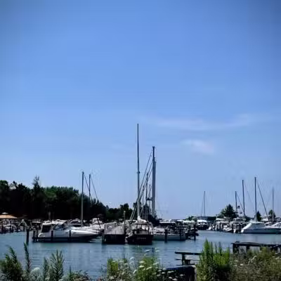 Dam Beach and Fishing Park - Elk Rapids,