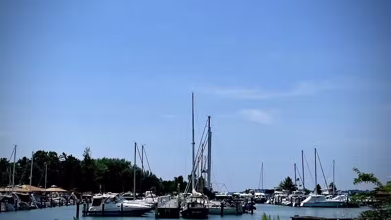 Dam Beach and Fishing Park - Elk Rapids,