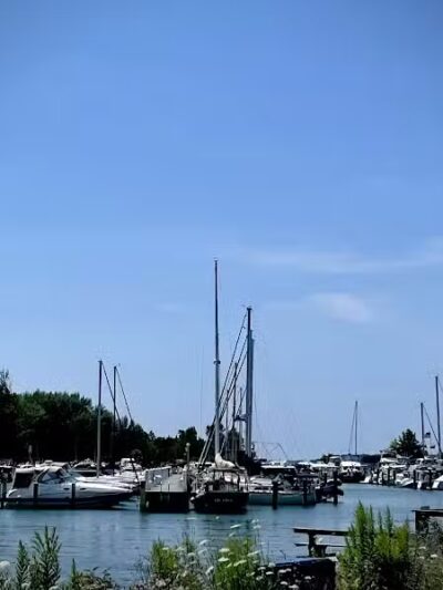 Dam Beach and Fishing Park - Elk Rapids,