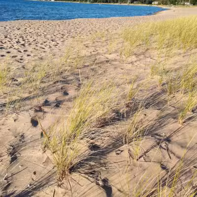 Dam Beach and Fishing Park - Elk Rapids,