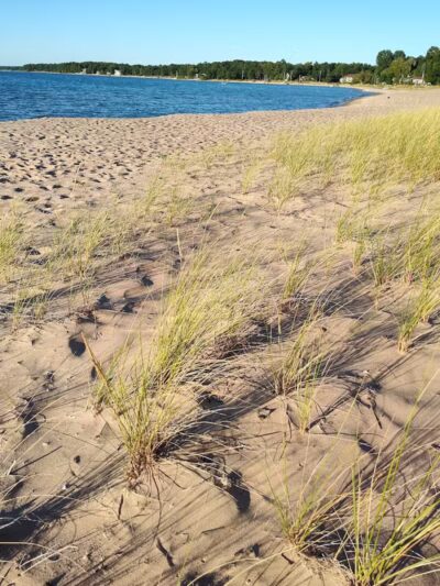 Dam Beach and Fishing Park - Elk Rapids,