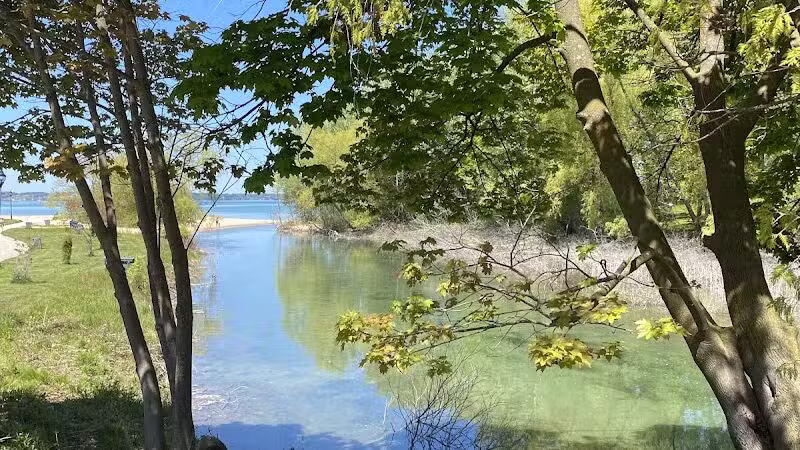 Dam Beach and Fishing Park - Elk Rapids,