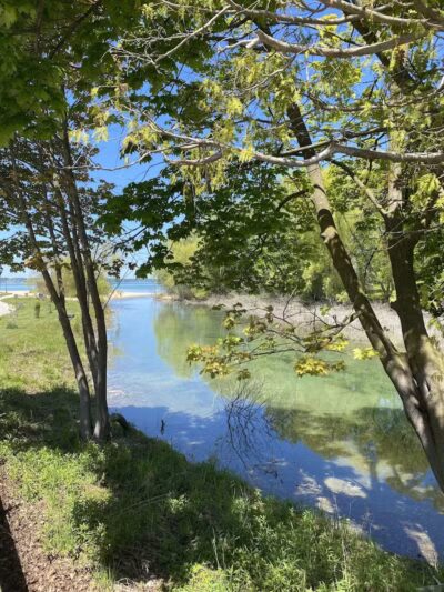 Dam Beach and Fishing Park - Elk Rapids,