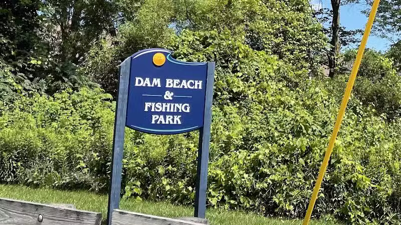 Dam Beach and Fishing Park - Elk Rapids,