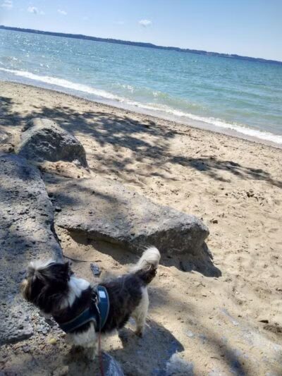 Elk Rapids Public Beach Access - Elk Rapids,