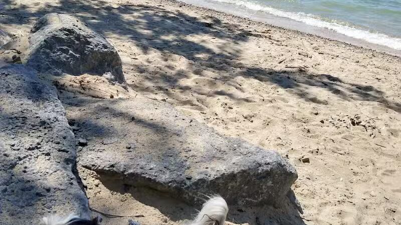 Elk Rapids Public Beach Access - Elk Rapids,