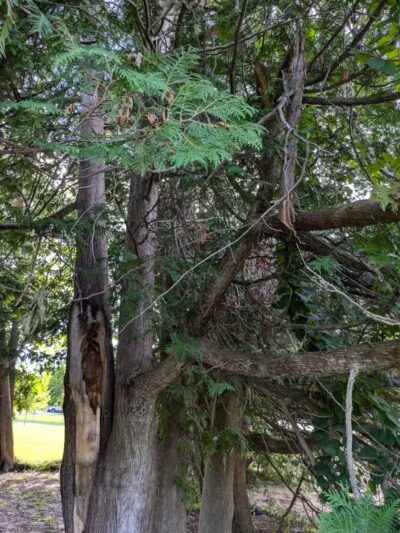 Elk Rapids Public Beach Access - Elk Rapids,