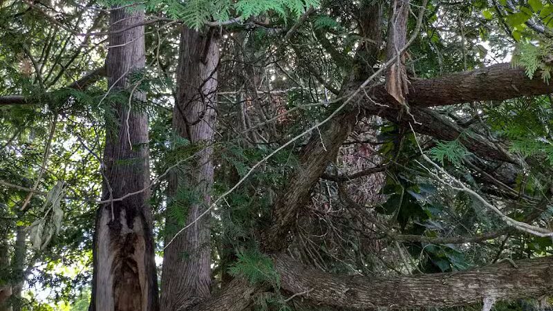 Elk Rapids Public Beach Access - Elk Rapids,