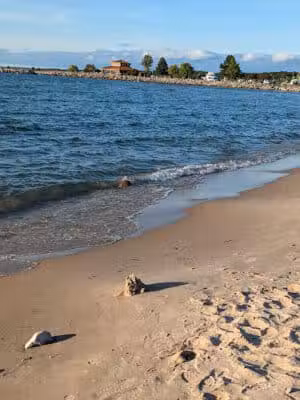 Elk Rapids Public Beach Access - Elk Rapids,