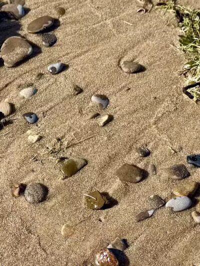 Old Bathing Beach - Elk Rapids,