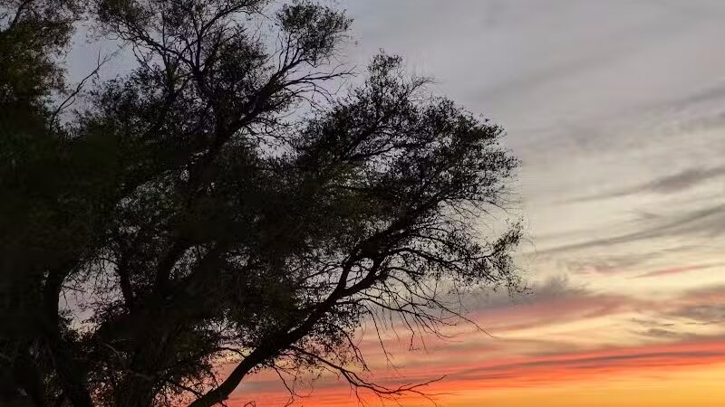 Old Bathing Beach - Elk Rapids,