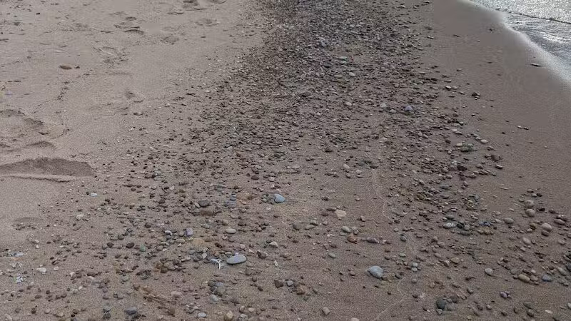 Old Bathing Beach - Elk Rapids,