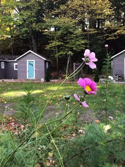 Paradise Pines Resort - Elk Rapids,