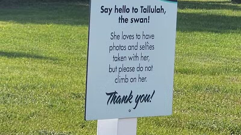 Rotary Park Pavilion - Elk Rapids,