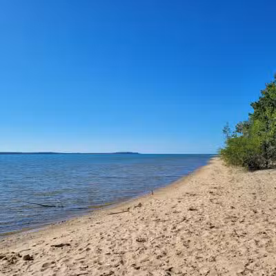 Walk of Art Sculpture Park - Elk Rapids,