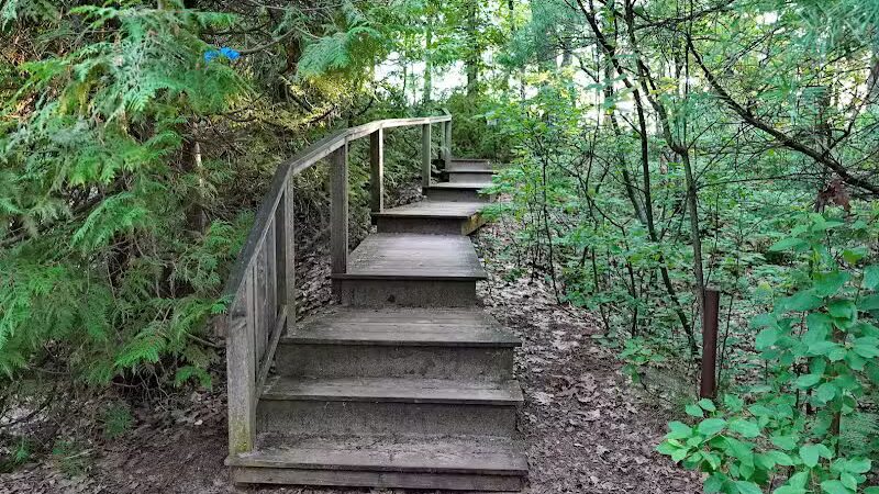 Wilcox-Palmer-Shah Preserve - Elk Rapids,