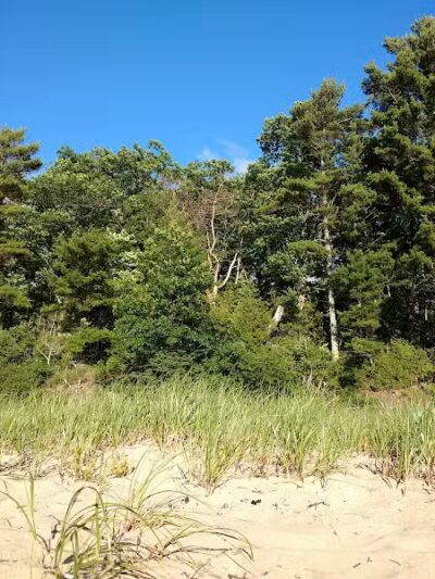 Wilcox-Palmer-Shah Preserve - Elk Rapids,