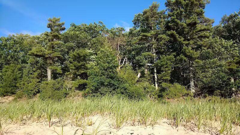 Wilcox-Palmer-Shah Preserve - Elk Rapids,